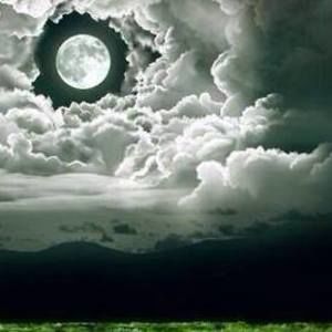 Meet your Posher, Kristy